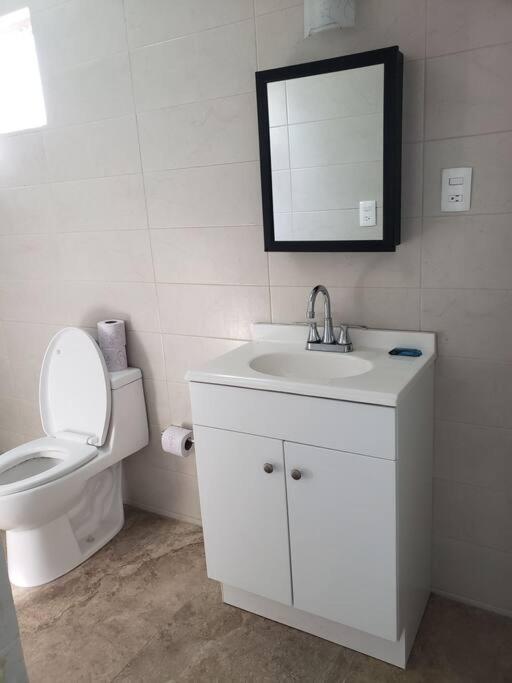 Petit Y Comodo Loft En La Ciudad. Monterrey Eksteriør billede
